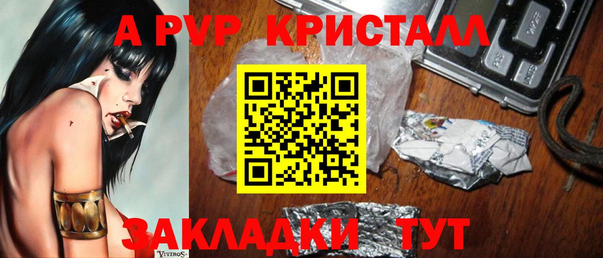 A PVP СК Мытищи